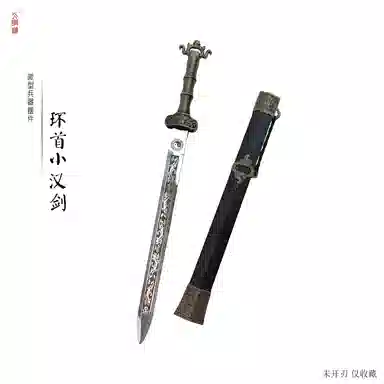 天字号 小环首汉剑 其他静态模型