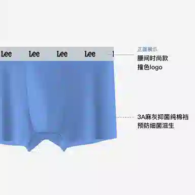 Lee 3
