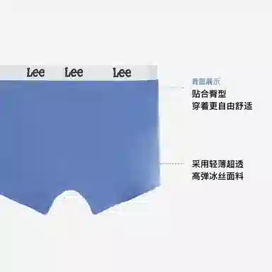 Lee 3