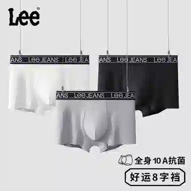 Lee 3