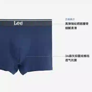 Lee 4