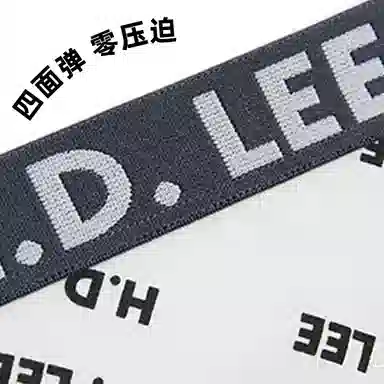 Lee 3