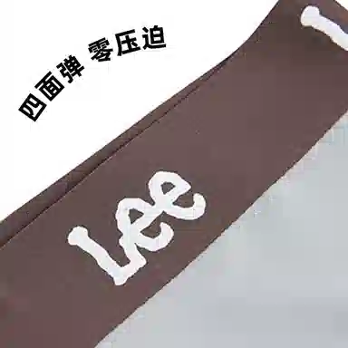 Lee 3