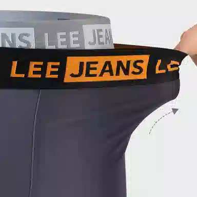 Lee 2