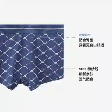 Lee 4