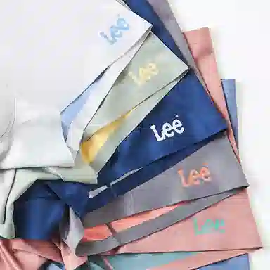 Lee 4