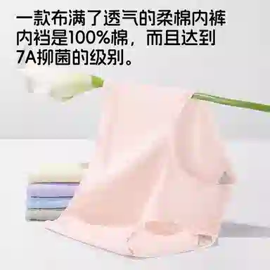 Lee 5