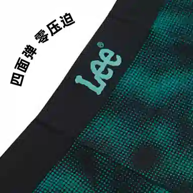 Lee 3