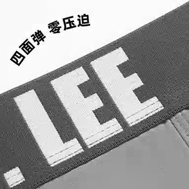 Lee LogoLogo 3