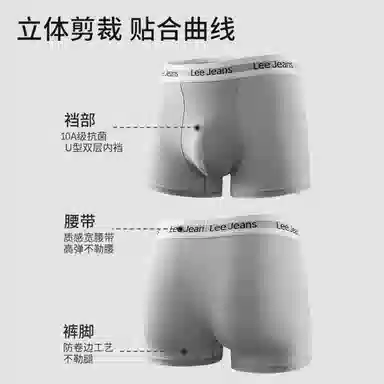 Lee 4
