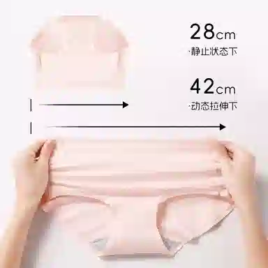 Lee 5