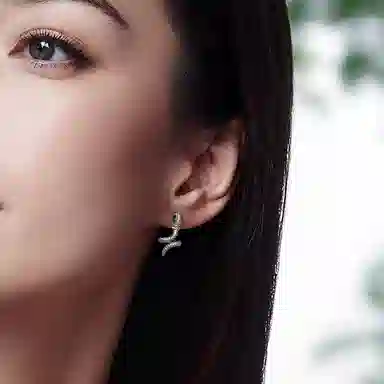 灵蛇轻奢奢华魅力 一撇一捺 秘境森林 密镶工艺立体 合金 耳钉 男女同款情侣款 银色