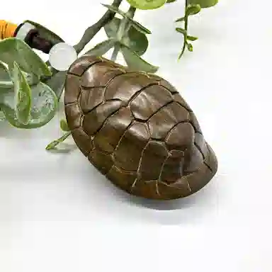 天纵 本命年招财转运国潮文玩吉祥物 原木雕刻富甲天下小乌龟新中式复古手工艺品 阴沉木 把件 男女同款情侣款