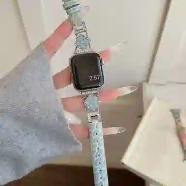 wepro 207mm applewatch S10iwatch98765432