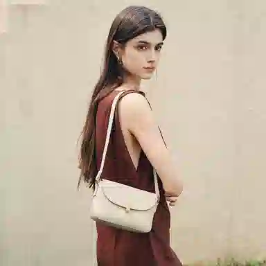 红蜻蜓 通勤高级感百搭 牛皮 斜挎单肩包 中号 女款 多色