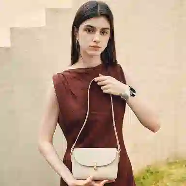 红蜻蜓 通勤高级感百搭 牛皮 斜挎单肩包 中号 女款 多色