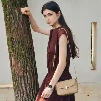 红蜻蜓 通勤高级感百搭 牛皮 斜挎单肩包 中号 女款 多色