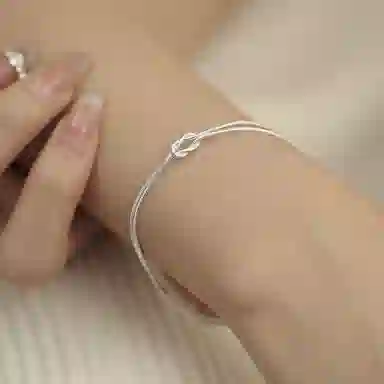 ins S925