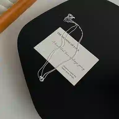 ins S925