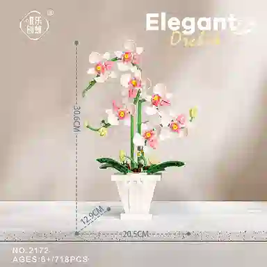 WL-CREATIVE 601-1000pcs 2172