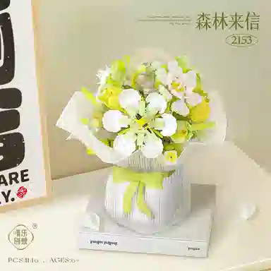 WL-CREATIVE 1228pcs 2152