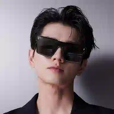 LASHION Sunglasses