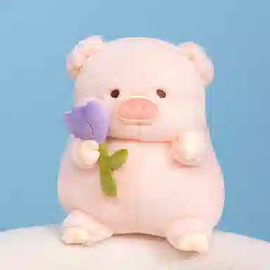 20cm30cm