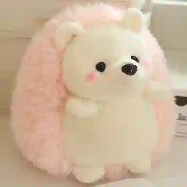 25cm38cm