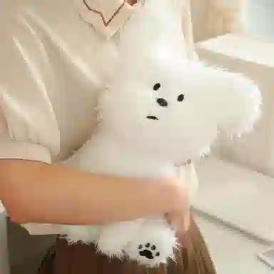 20cm30cm38cm