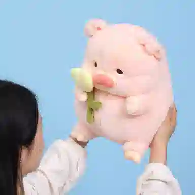 20cm30cm