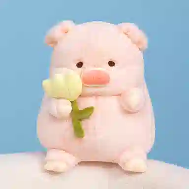 20cm30cm
