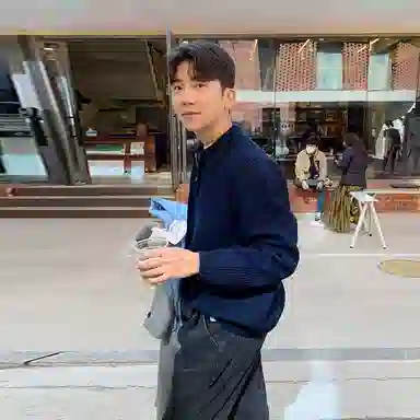 我是大卫 港风复古小众半拉链翻领设计感宽松套头针织衫 男女同款