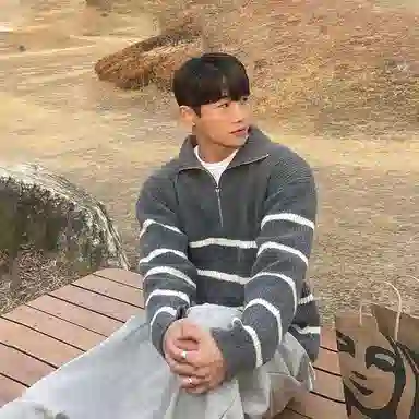 我是大卫 条纹翻领半拉链装饰休闲套头长袖针织衫 男女同款