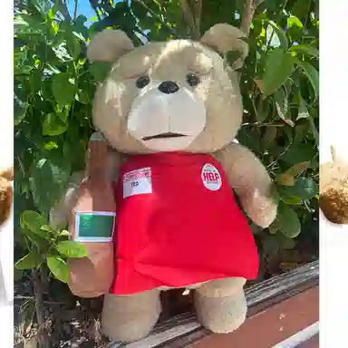 77 SEVEN DREAM ted 43cm