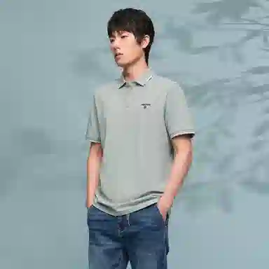 HLA Polo
