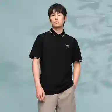 HLA Polo