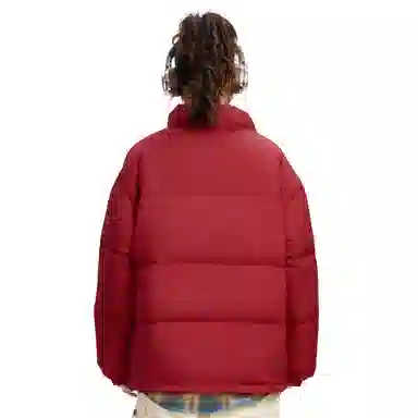 鸭鸭 基础款简约字母印花设计感青少年户外运动防风防水宽松休闲百搭舒适柔软立领高街面包保暖冬季羽绒服 男女同款