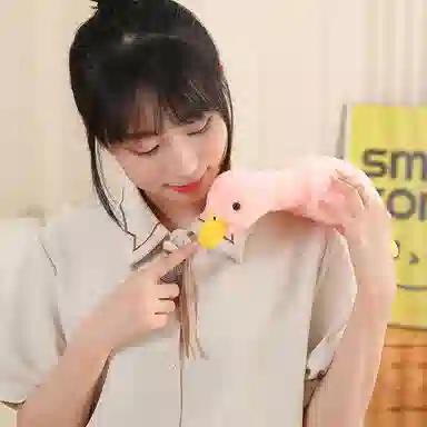 35cm55cm90cm