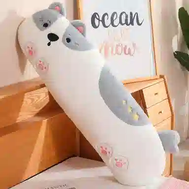 80cm100cm