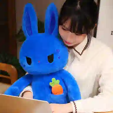 38cm55cm80cm110cm