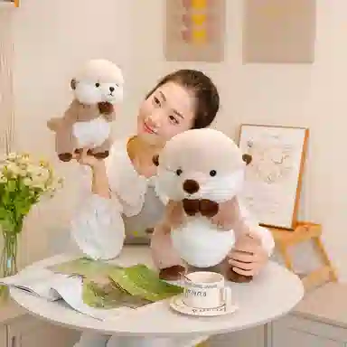 25cm40cm
