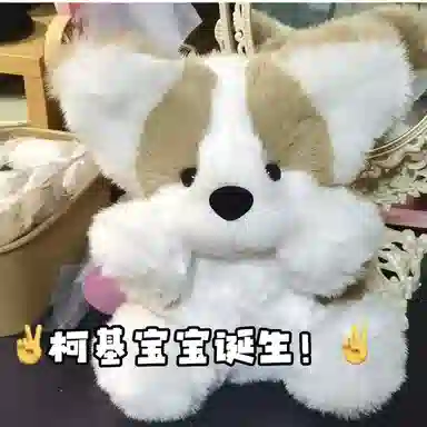30cm