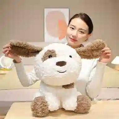 21cm29cm