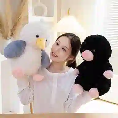 25cm35cm