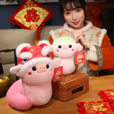 22cm30cm
