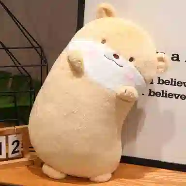 60cm80cm