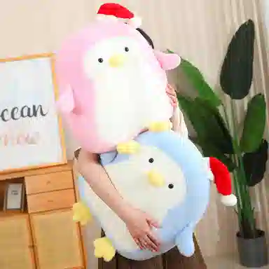 50cm