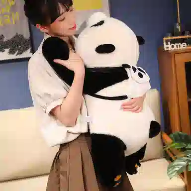 25cm40cm50cm55cm75cm