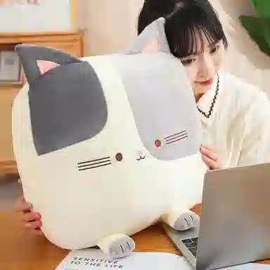 胖胖龙 卡通猫咪方形抱枕 玩偶周边
