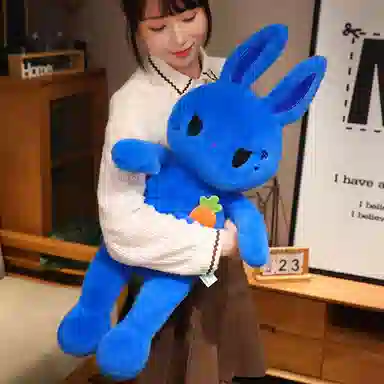 38cm55cm80cm110cm